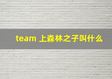 team 上森林之子叫什么